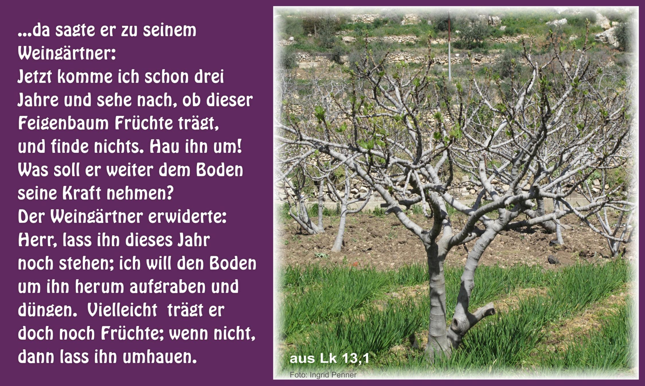 Meditation zum 3. Fastensonntag 2022