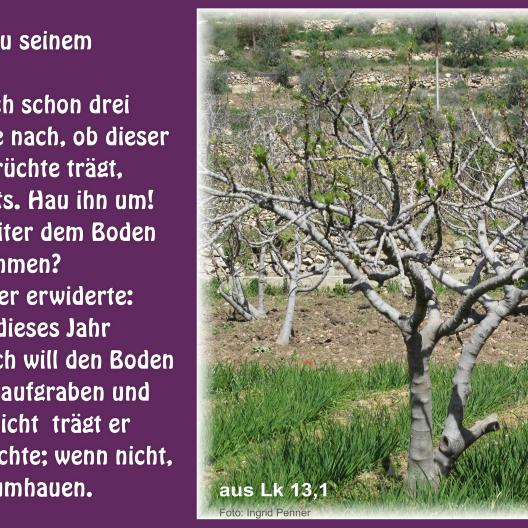 Meditation zum 3. Fastensonntag 2022